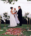 Hawaii Wedding and Hawaiian Wedding