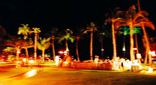 Hawaii Wedding and Hawaiian Wedding