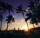 Hawaii Wedding and Hawaiian Wedding