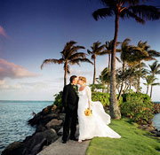 Hawaii Wedding and Hawaiian Wedding
