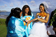 Hawaii Wedding and Hawaiian Wedding